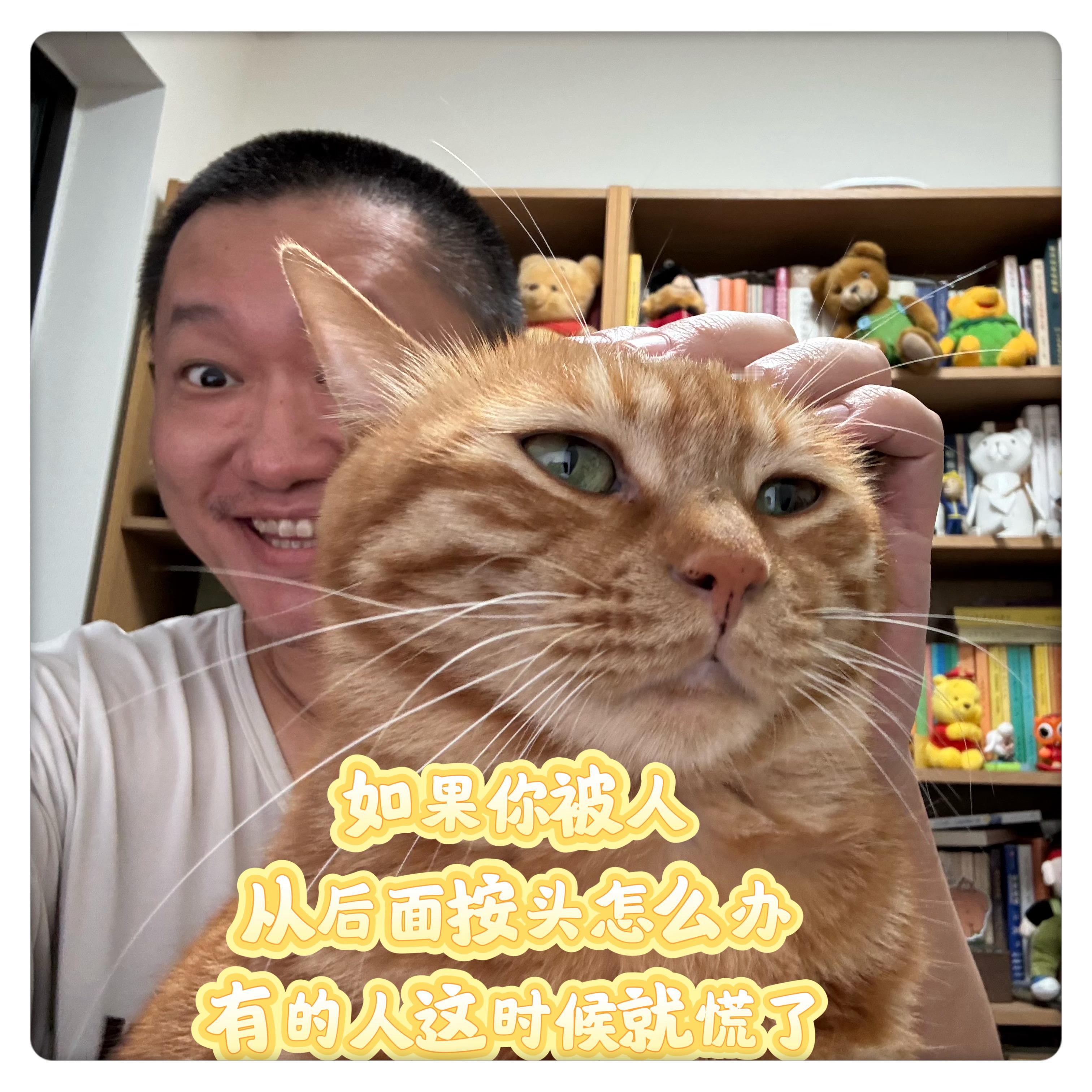 小猫咪自卫防身术。大英雄各怀心事​​​