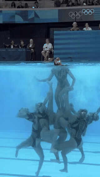 水面上游刃有余，水面下匆匆忙忙[捂脸哭]