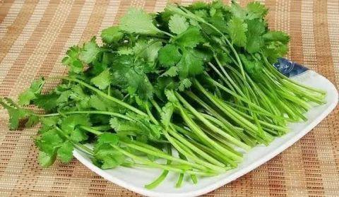 这几种人要少吃香菜, 最好不要吃