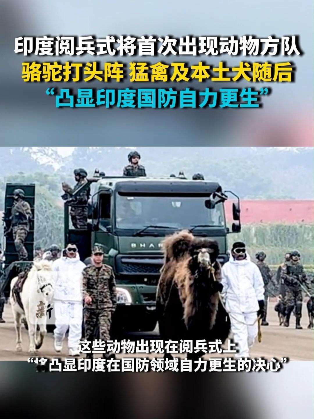 看到印度阅兵式上迈着正步的骆驼、矮种马和猛禽，你是不是第一反应也觉得“离谱又搞笑