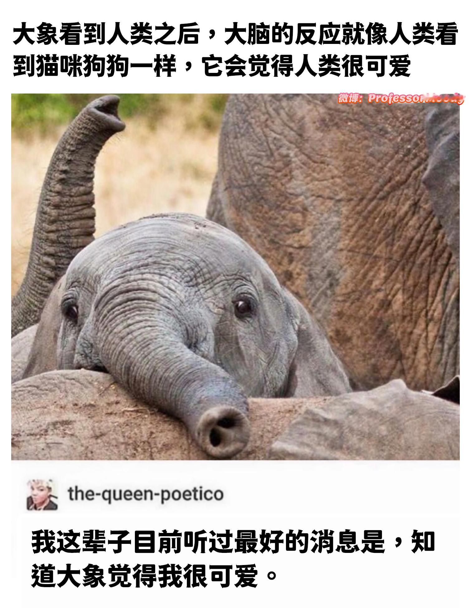 人：喵呜meme