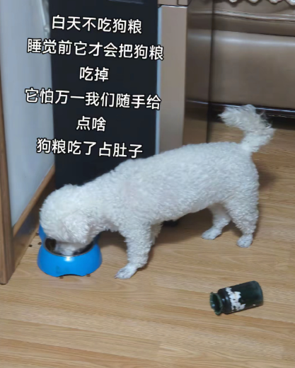 狗子有点心眼全用在吃喝上了​​​