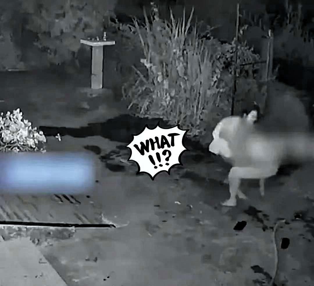 山东一位大车司机，最近半年明显感觉到妻子对自己态度冷淡，沟通越来越少，电话常常被