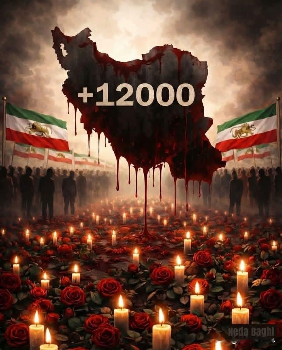 ​每一朵红玫瑰，都是一个未竟的梦，都是一个鲜活的灵魂