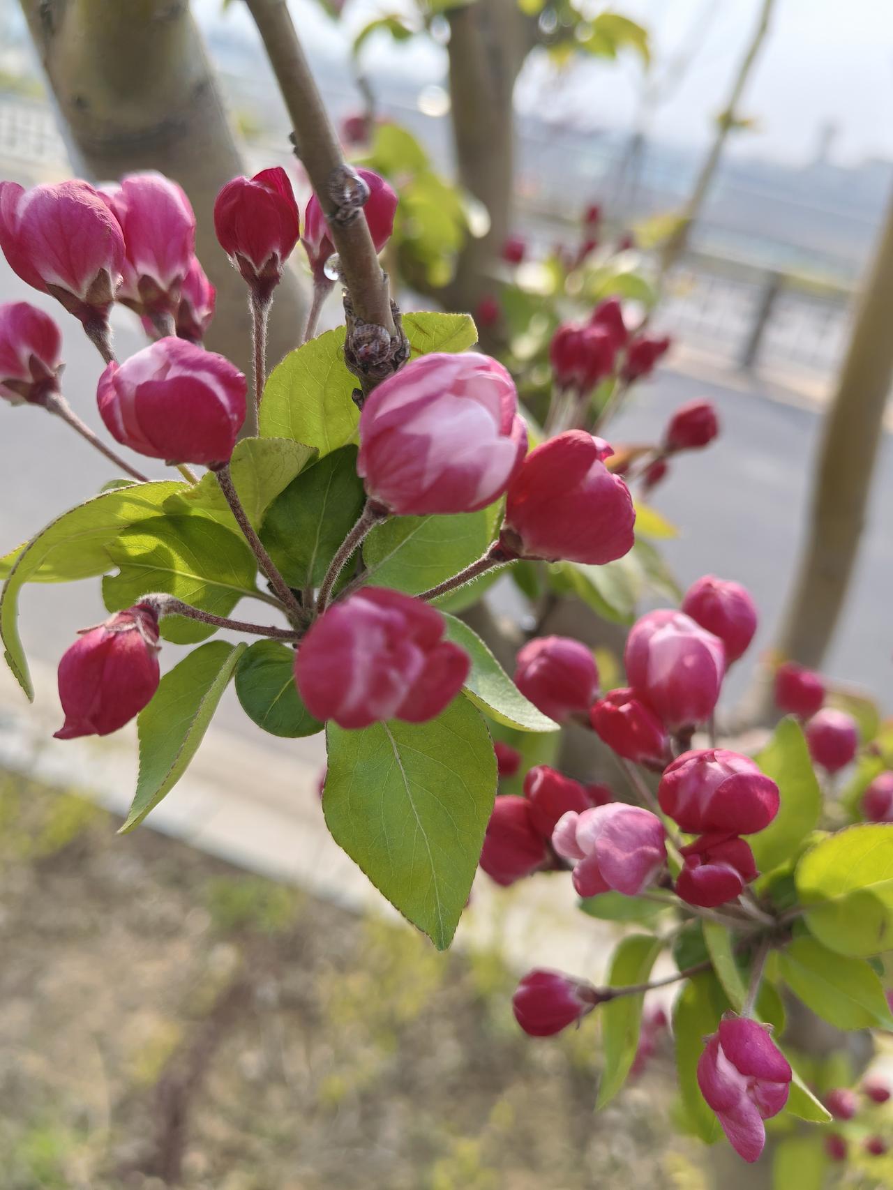 有的女人卑微到尘埃里。我们楼下一个女人儿子都结婚生子了，还经常遭到老公打骂，隔