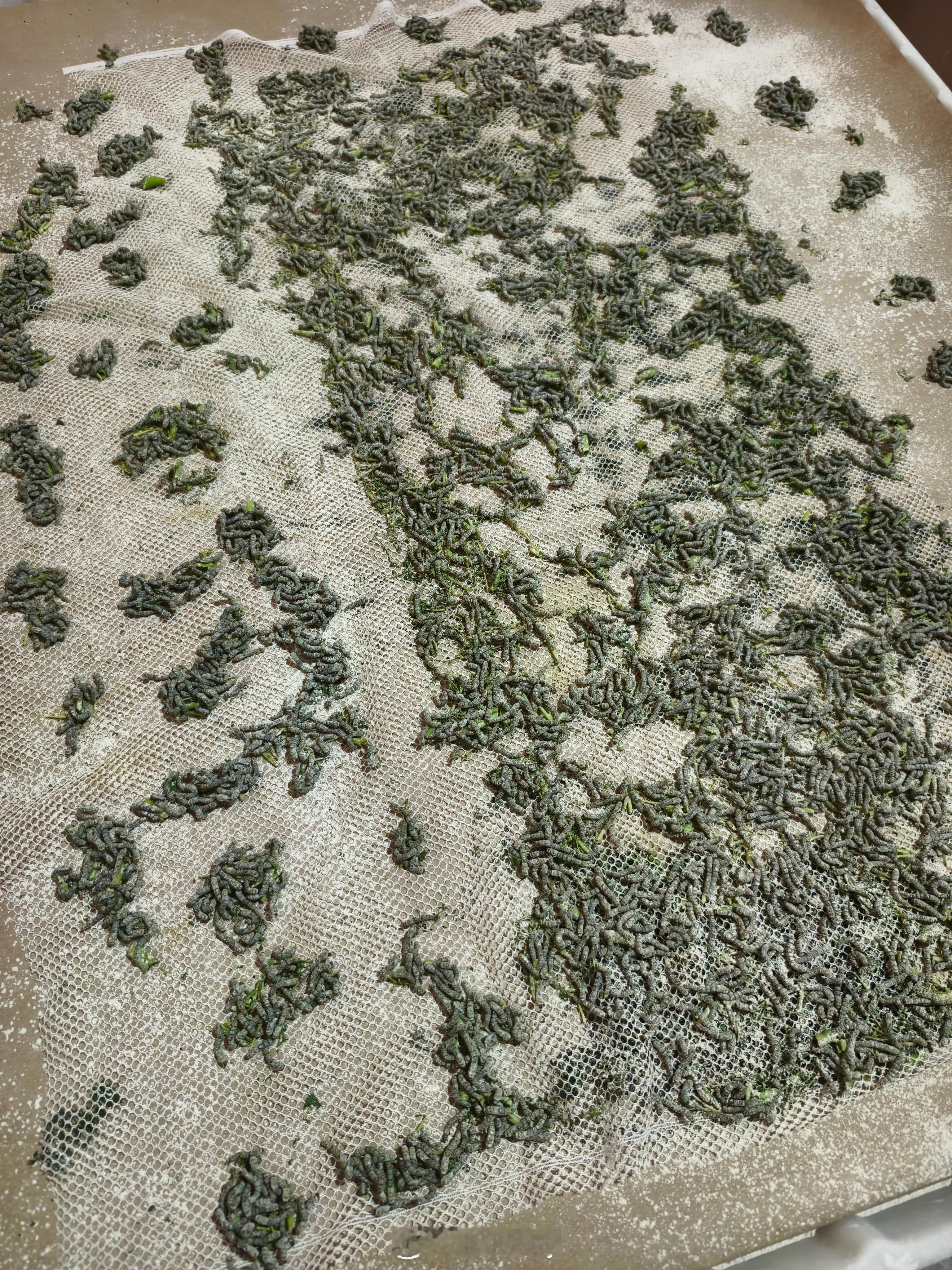 今天去参观没法盯盘啦​​​