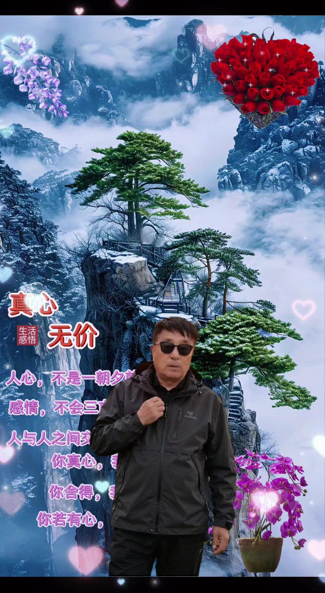 云海奇松云雾奇松迎客奇松绝壁奇松仙境云海自然奇观