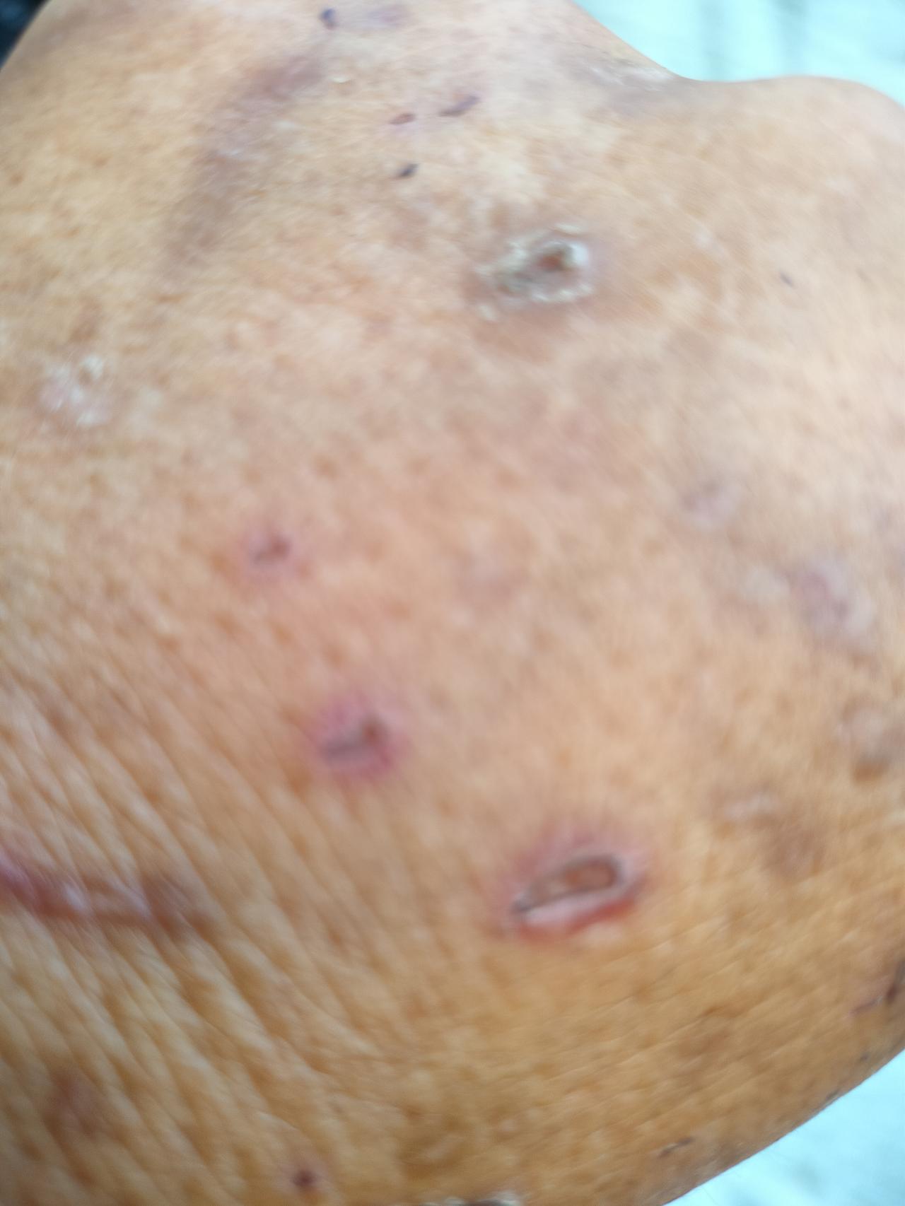 家里养了两只猫，一只狸花猫，一只三花猫，三花猫性格特别温顺，和主人玩耍时从来不伸