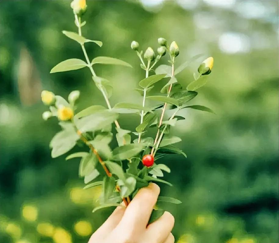 一段非常有道理的话：“你可以买彩票，但是千万不能赌博;你可以上按摩店，但是千万