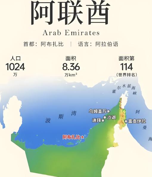 阿布扎比的王储来了。专机在北京降落的那一刻，这位酋长心里怕是不太好受。不是因为我