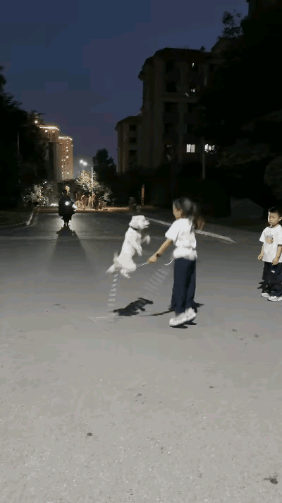 谁家的小可爱！萌娃带着小白狗小区跳绳，直接看呆路人～绳子一挥，小白狗精准卡