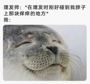 恨不得找个地缝钻进去