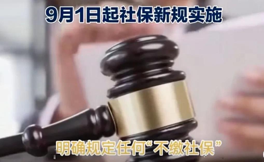 最严强交社保的新规一出，听朋友说市场立马催生了一个新行业，共享员工，其运作模式有