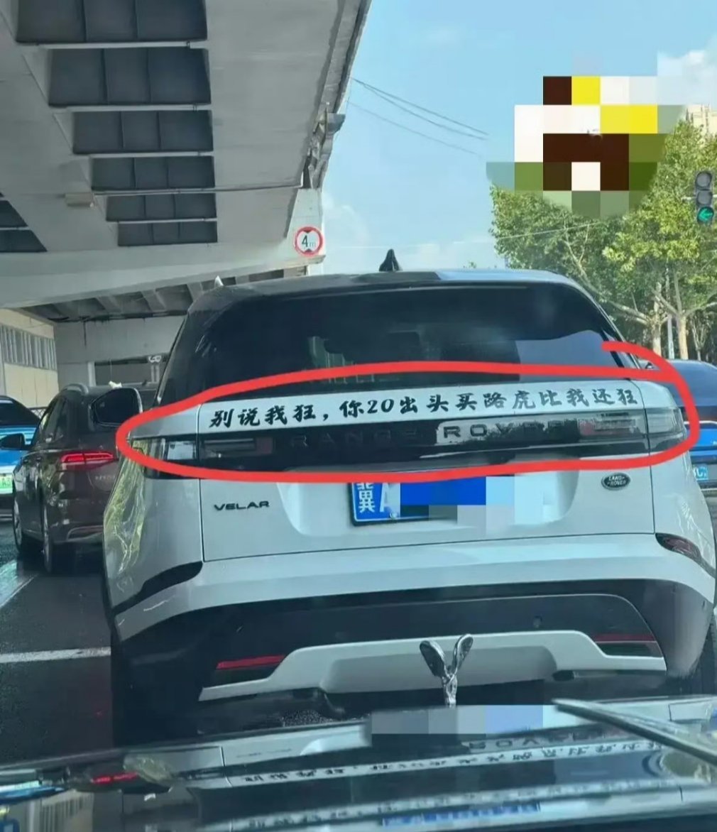 前车车主还挺狂？