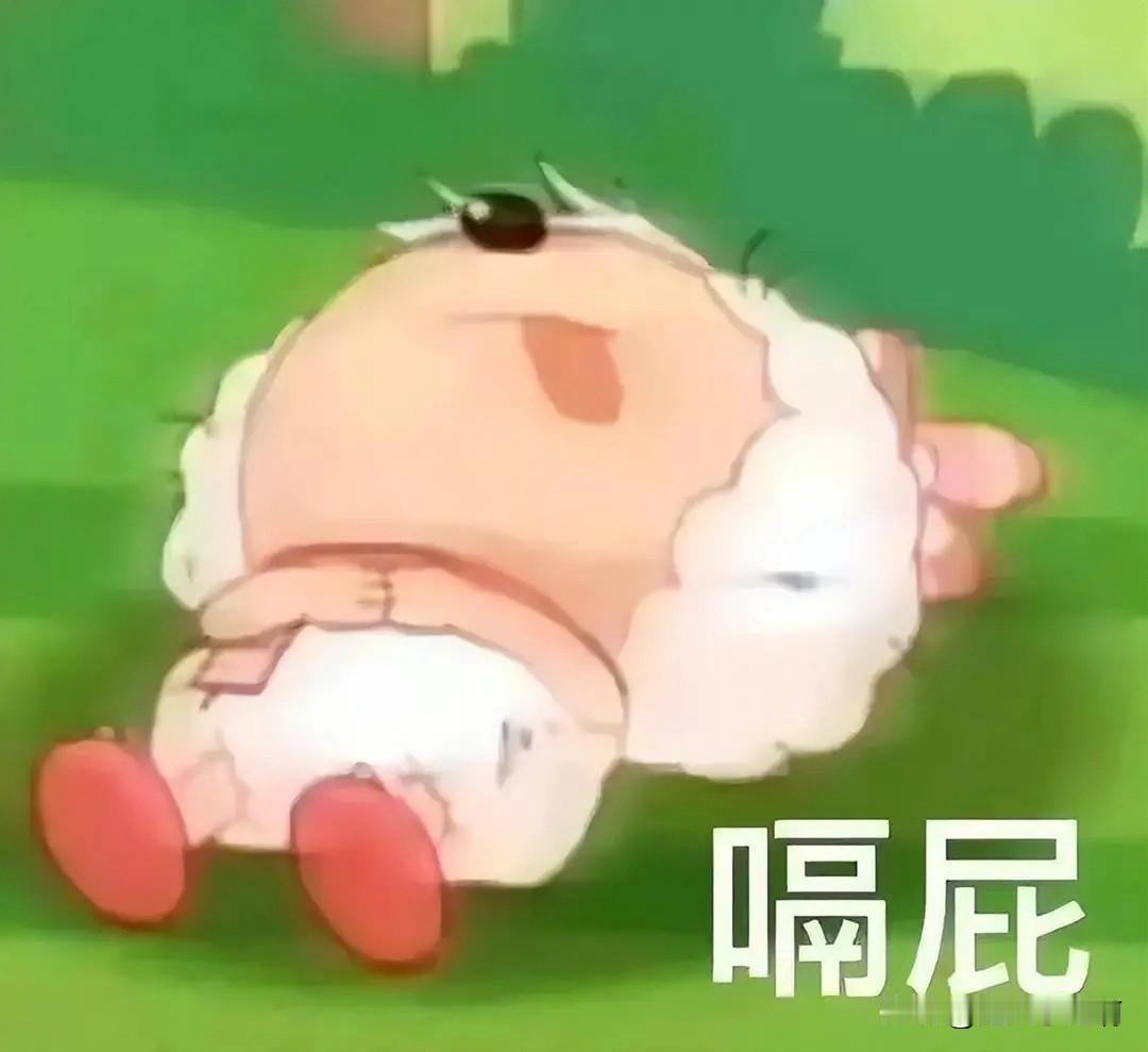 我姨四个孩子，三个儿子一个闺女，闺女老四。前面三个儿子是跟前夫生的，老四是后面