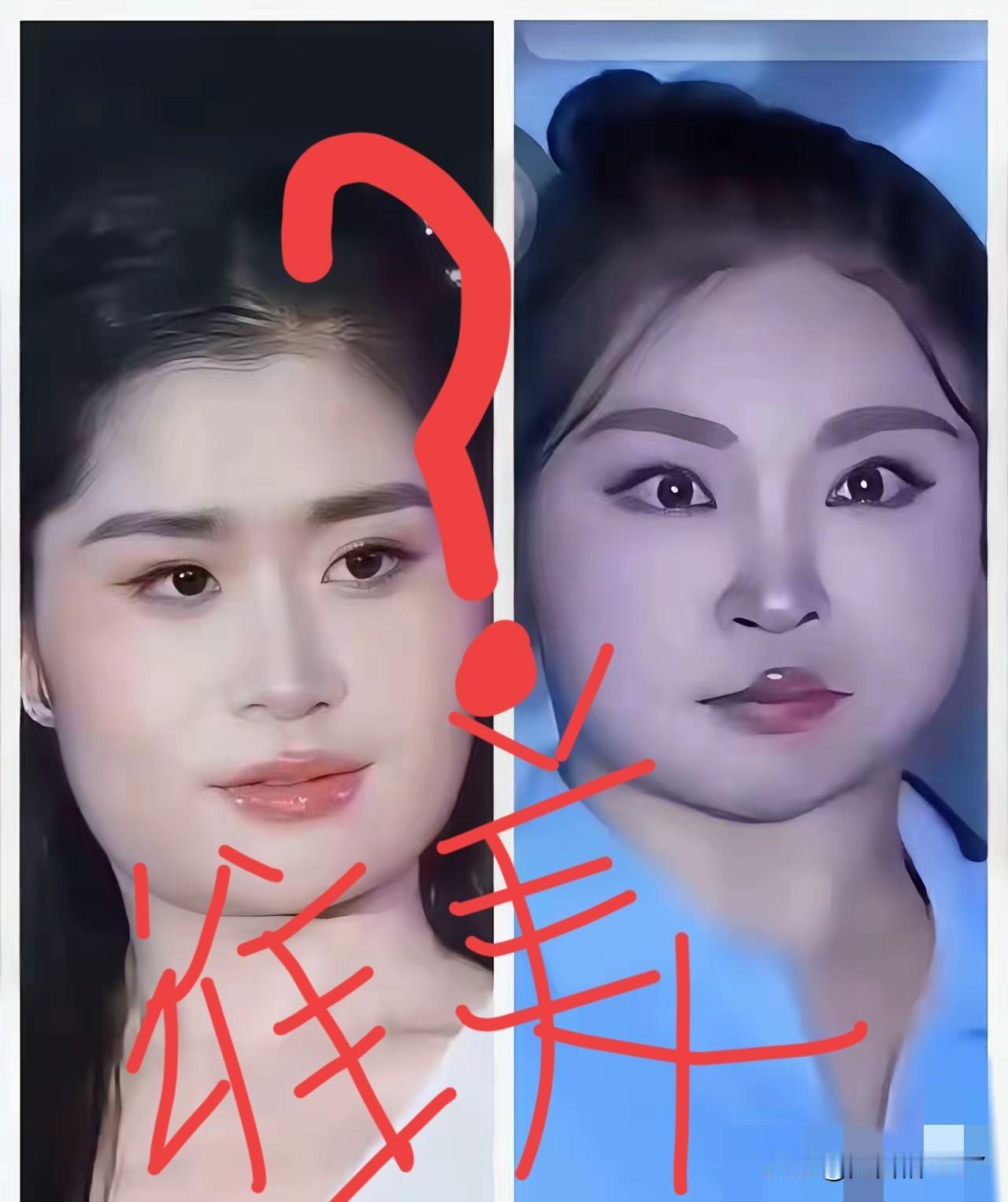 最近辽宁冠军张倩和陕西冠军张雨曦的选美争议吵翻全网，其实也不是大家故意挑刺，主要