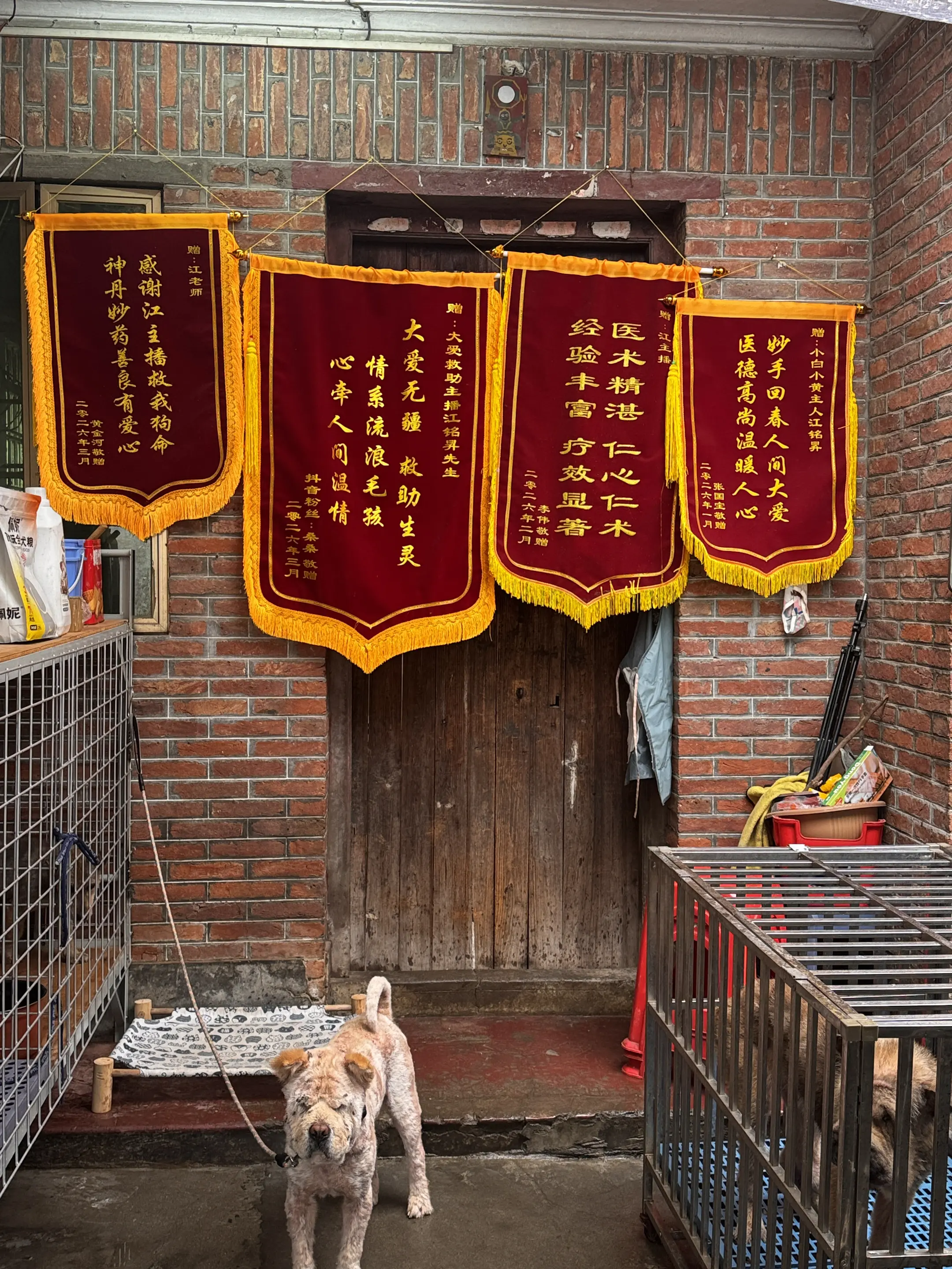 这是我们帮粉丝治疗皮肤病严重的狗狗，粉丝为了感谢我们的锦旗，谢谢大家对...