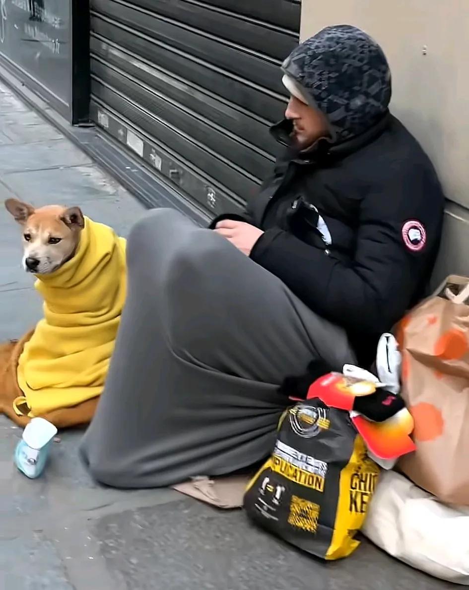 法国的低保户，穿着正品大鹅，包裹的严严实实，在路边乞讨。 不是仿品山寨，是那