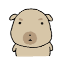 表情包～