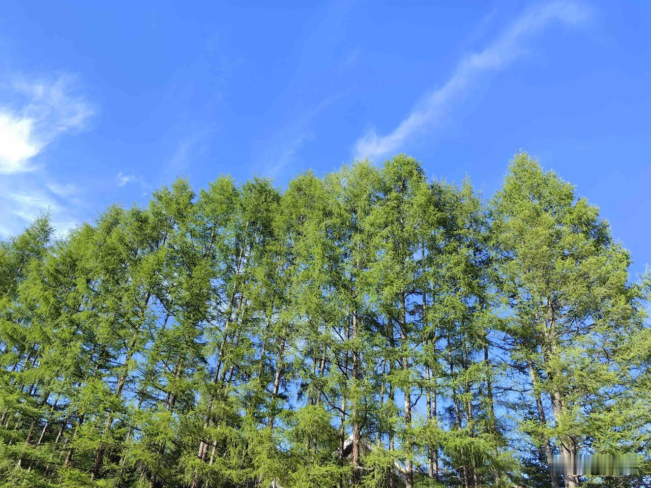 夏天大量出汗就是排毒？高温天气，大量出汗并不等于排毒。很多人存在这样的认知：