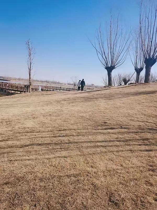 315晚会后我默默做了个决定，今年继续回老家种地，说实在的，现在的吃的让人那么不