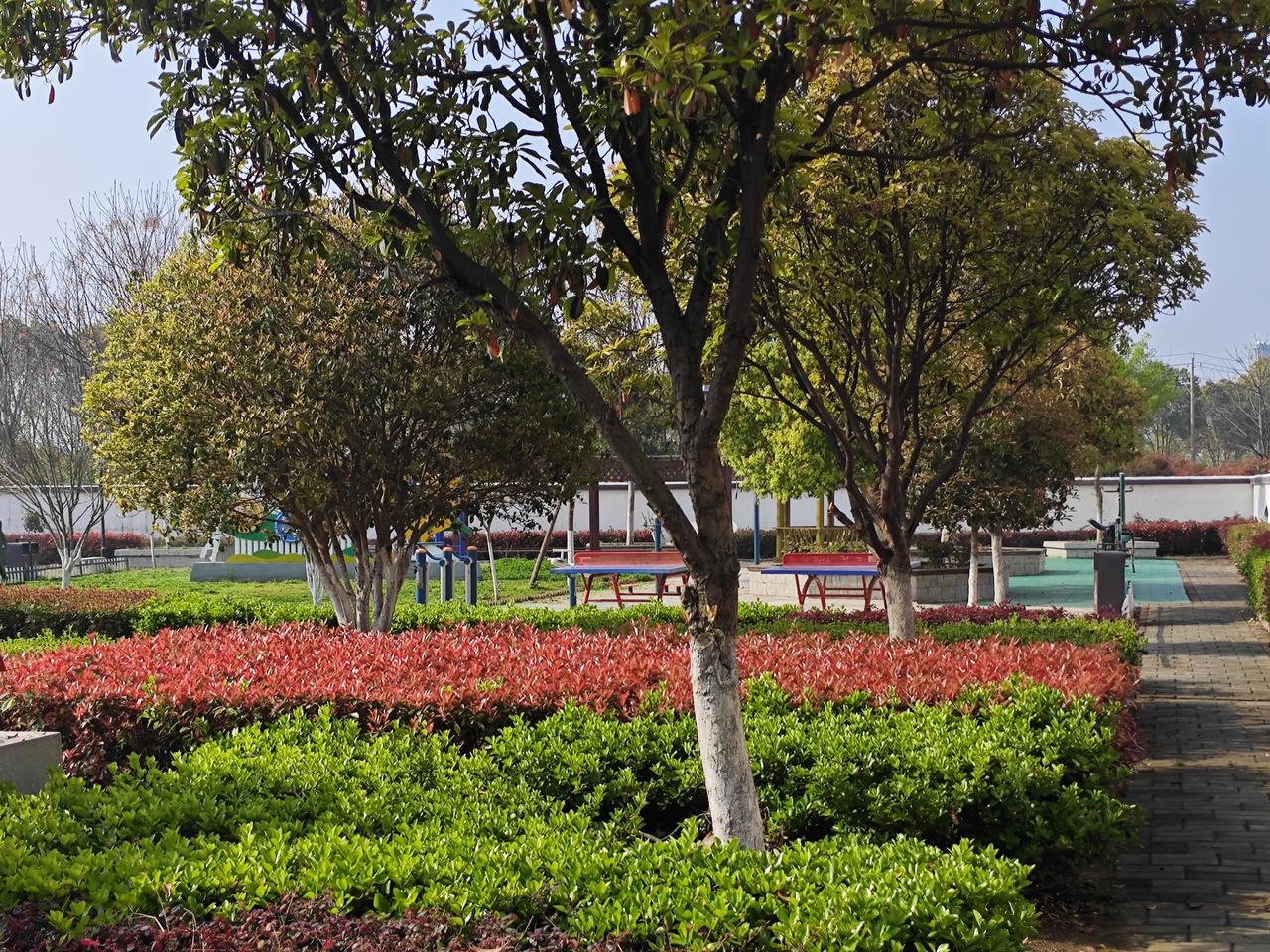 如何消除教师职评审中的“人情世故”因素？结合一线教师普遍反映的真实情况，职称评审