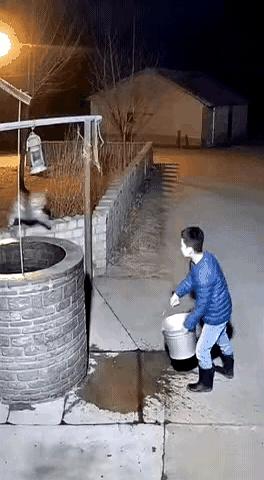 你们敢信吗？遇到体重两百斤、满身花纹的顶级猛兽，居然有人大言不惭地说要上去给它
