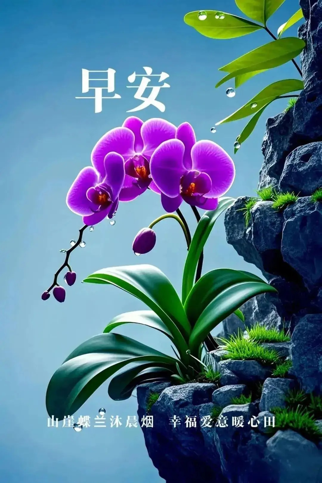 2025-12-10，星星三早安永远不要对任何事感到后悔，因为它曾经一度就是你想