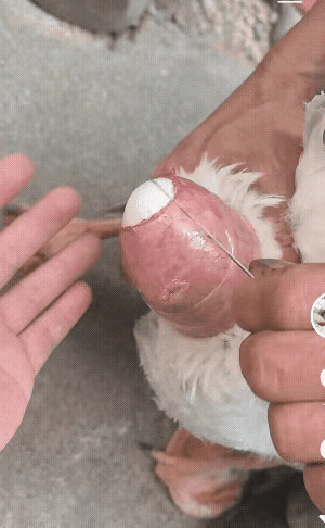 这算是难产了吧！😯