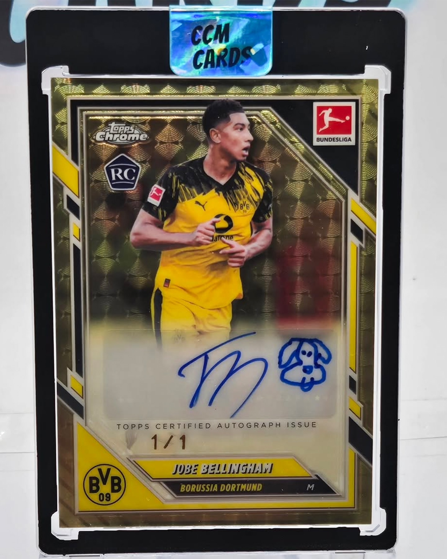 乔布画的狗狗球星卡🐶