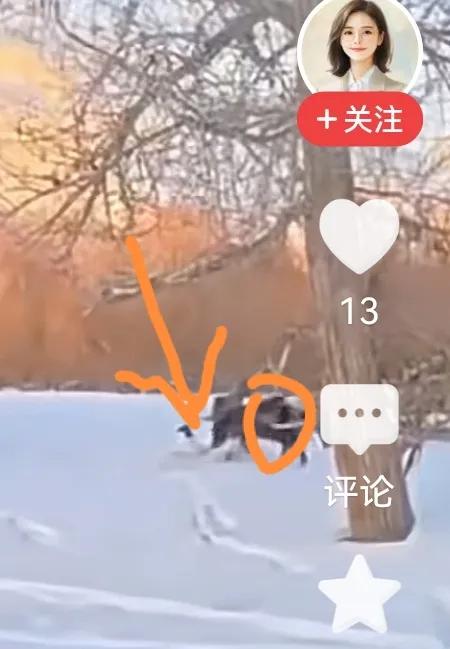 说起这次意外，我也颇有感触，自己曾在草原骑过马，还被马踢过，至今记忆犹新。当时