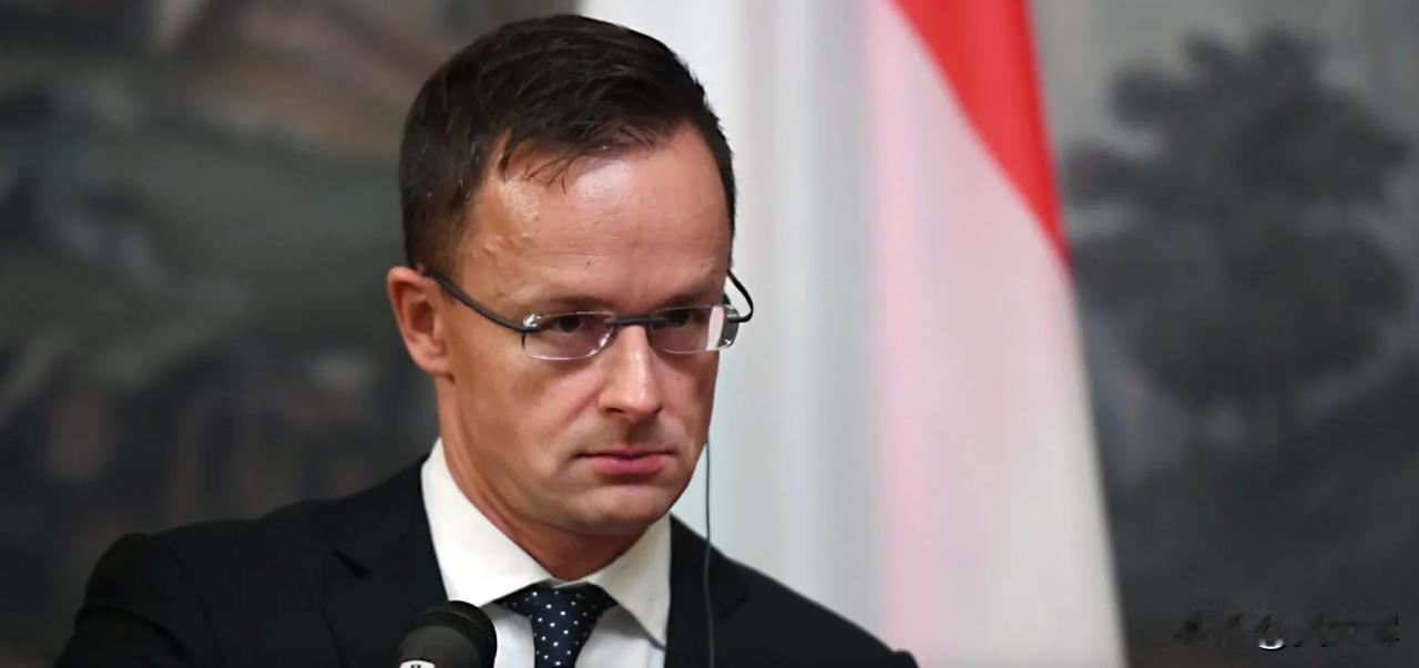 【匈牙利外长：“只要我们在执政，乌克兰就不会成为欧盟成员国”】匈牙利外长西雅尔多