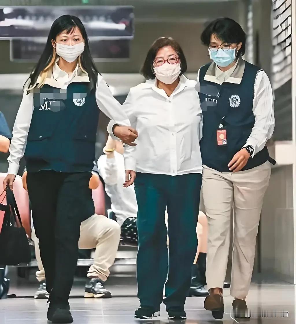 开年不过一月，岛内已是人人自危。绿营的司法清算来得猝不及防，先是72岁的蔡正元因