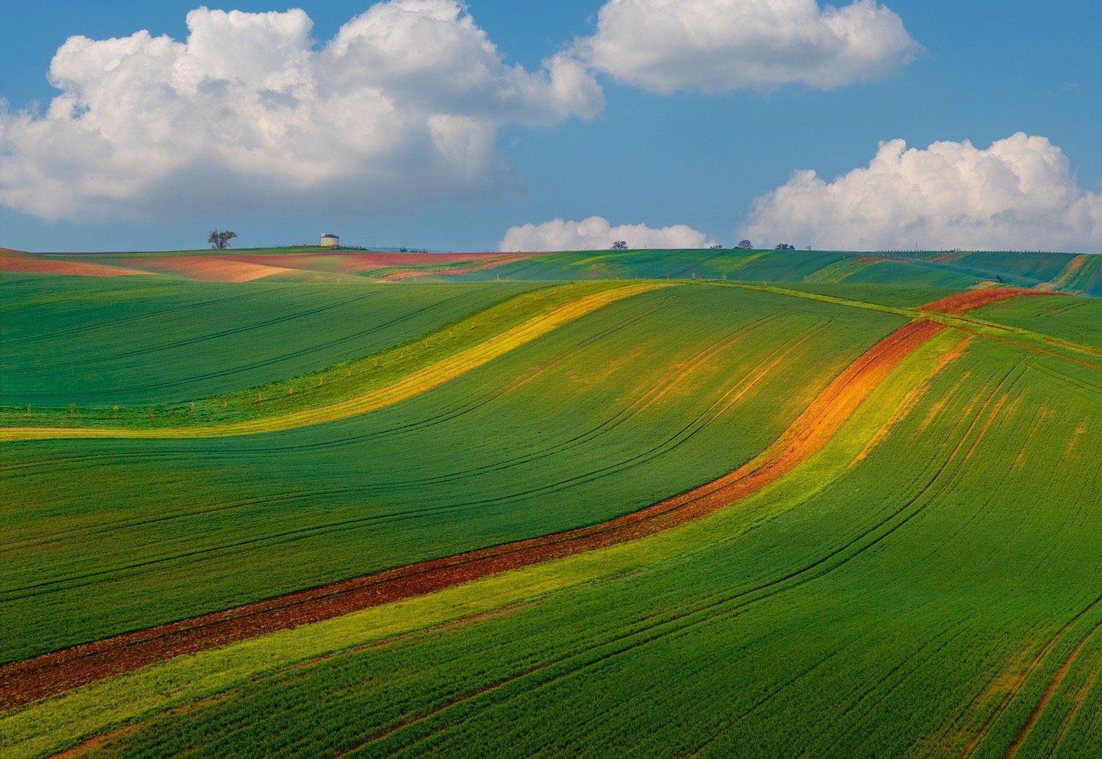 五月捷克南部的大地，换上了盛夏前最绚烂的盛装，成为风光摄影和无人机爱好者心驰神往