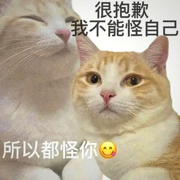 当十二星座感受到压力时……抗压硬核组：摩羯、天蝎、金牛越遇难题越沉得住气需要鼓励