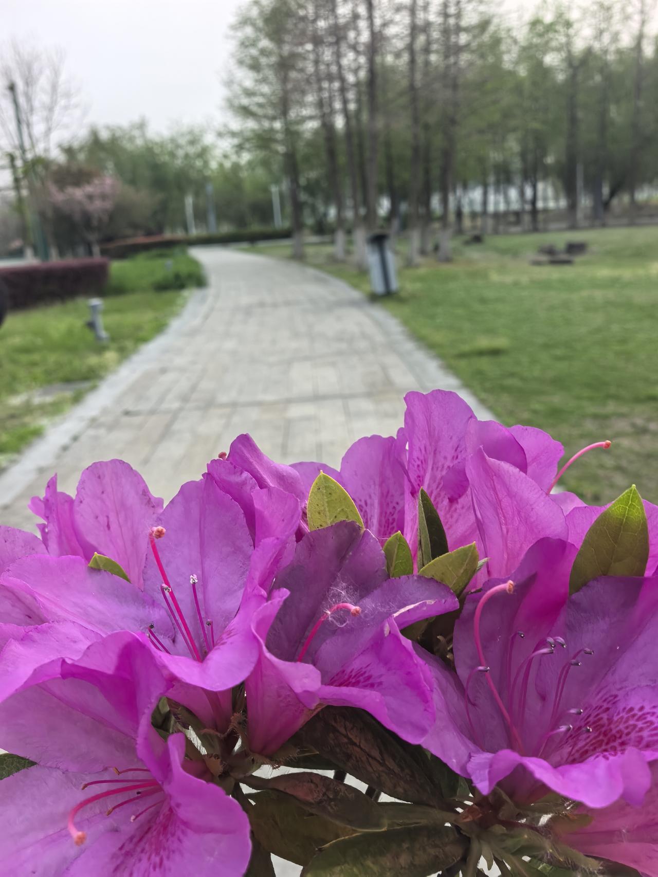 教育分班清零政策评论教育部发布重磅通知，从2026年4月3日起，全国中小学