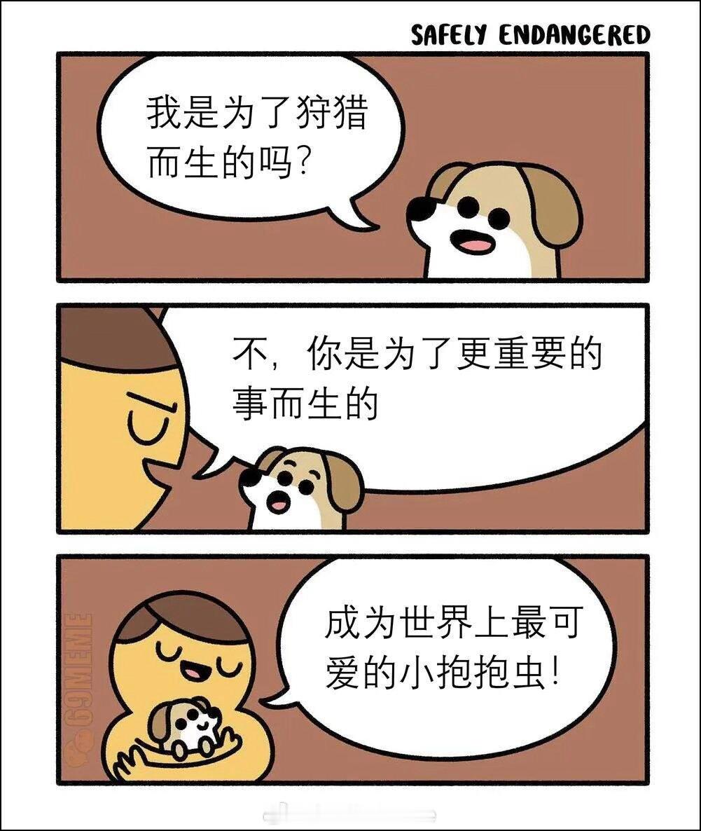 狗meme网友投稿图片选集​​​