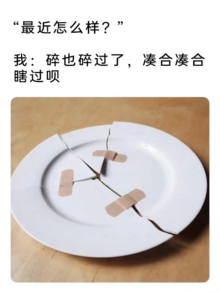 缝缝补补memes