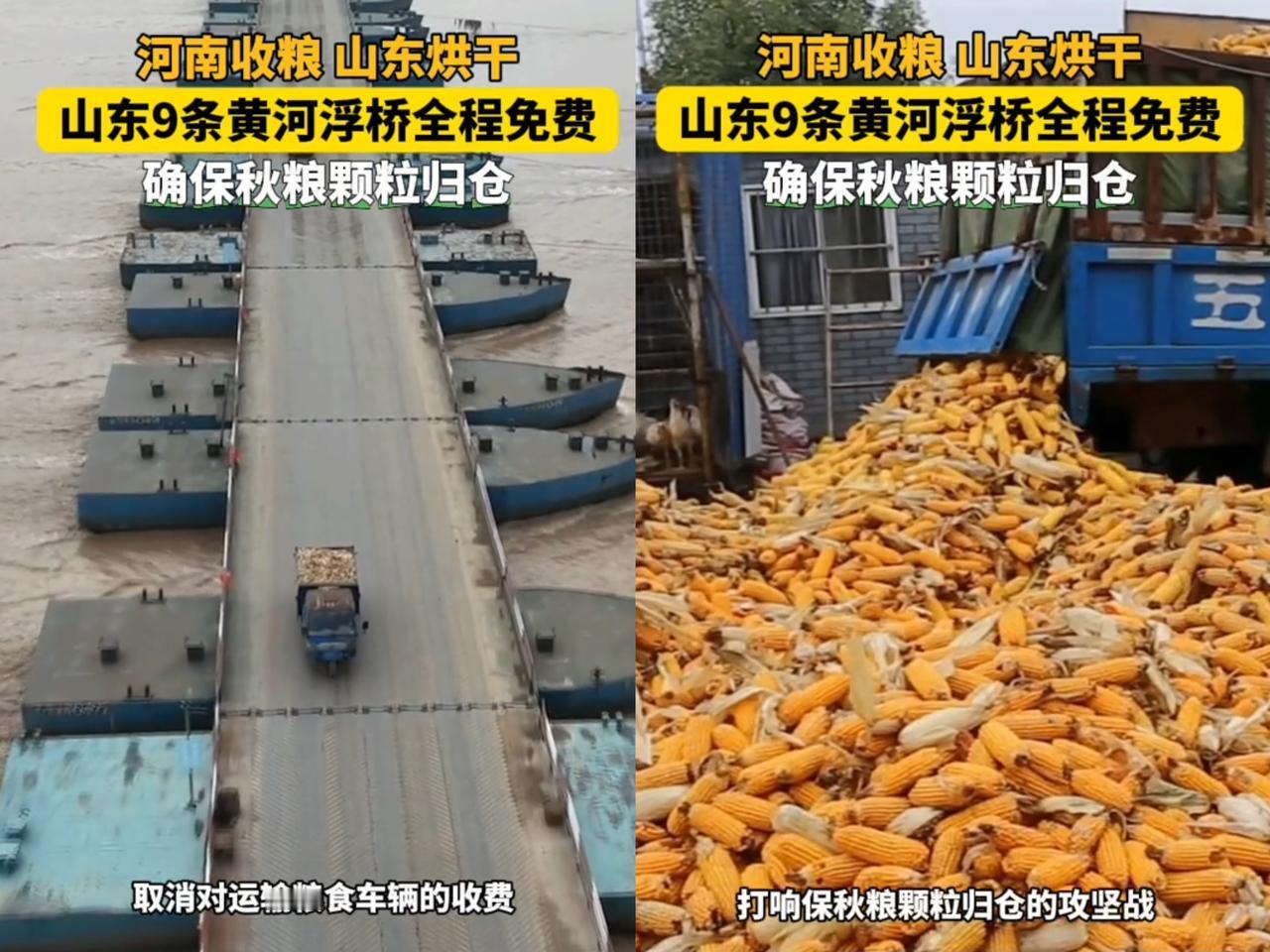山东又双叒叕责任心“爆棚”啦！不得不说，山东在各省份里，那责任担当绝对杠
