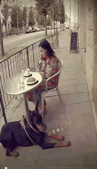 忠犬护主，爱与勇气的奇迹阳光洒在路边，一名女子正悠闲地喝着咖啡，身旁的桌子底