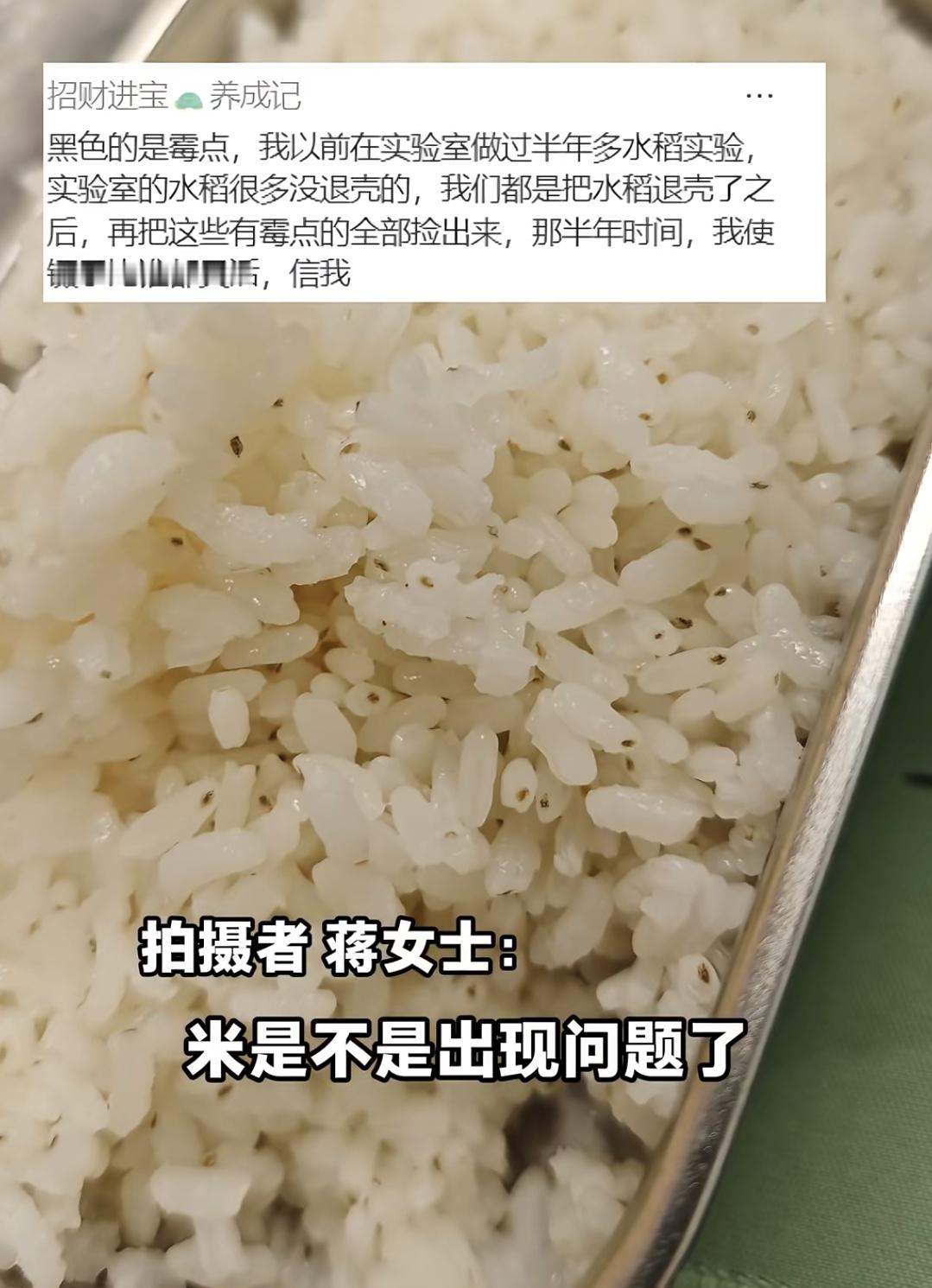 怎能感觉经常看到这种米饭🍚😳还以为是稻壳没脱干净而已​​​