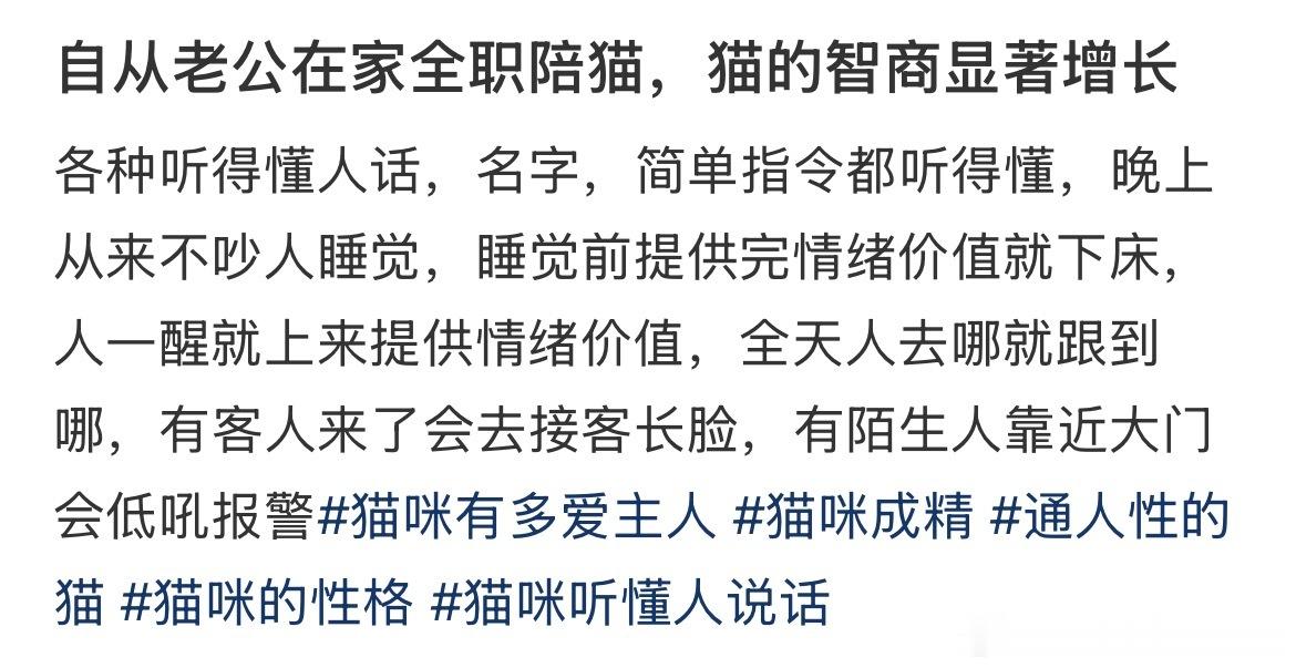 猫竟然因为吸人气吸多开智了​​​
