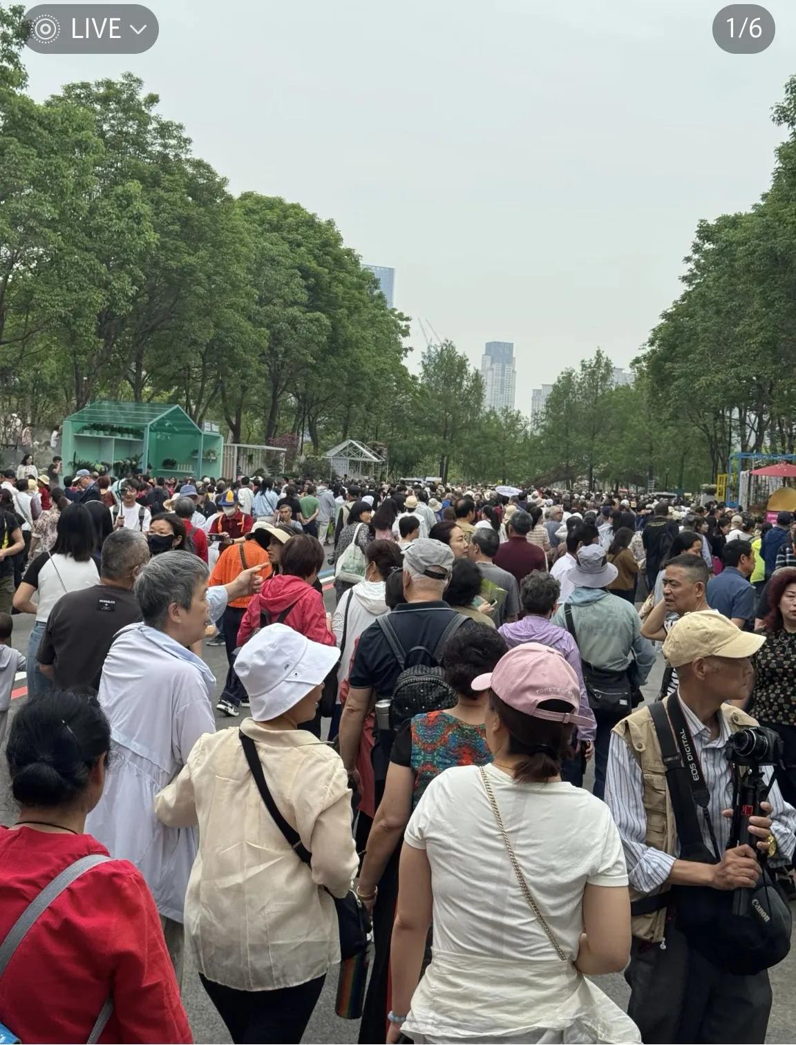 五一哪天去沙湖公园世界花园大会人会相对少点?可能是今天或5.5这有头有尾！因为外