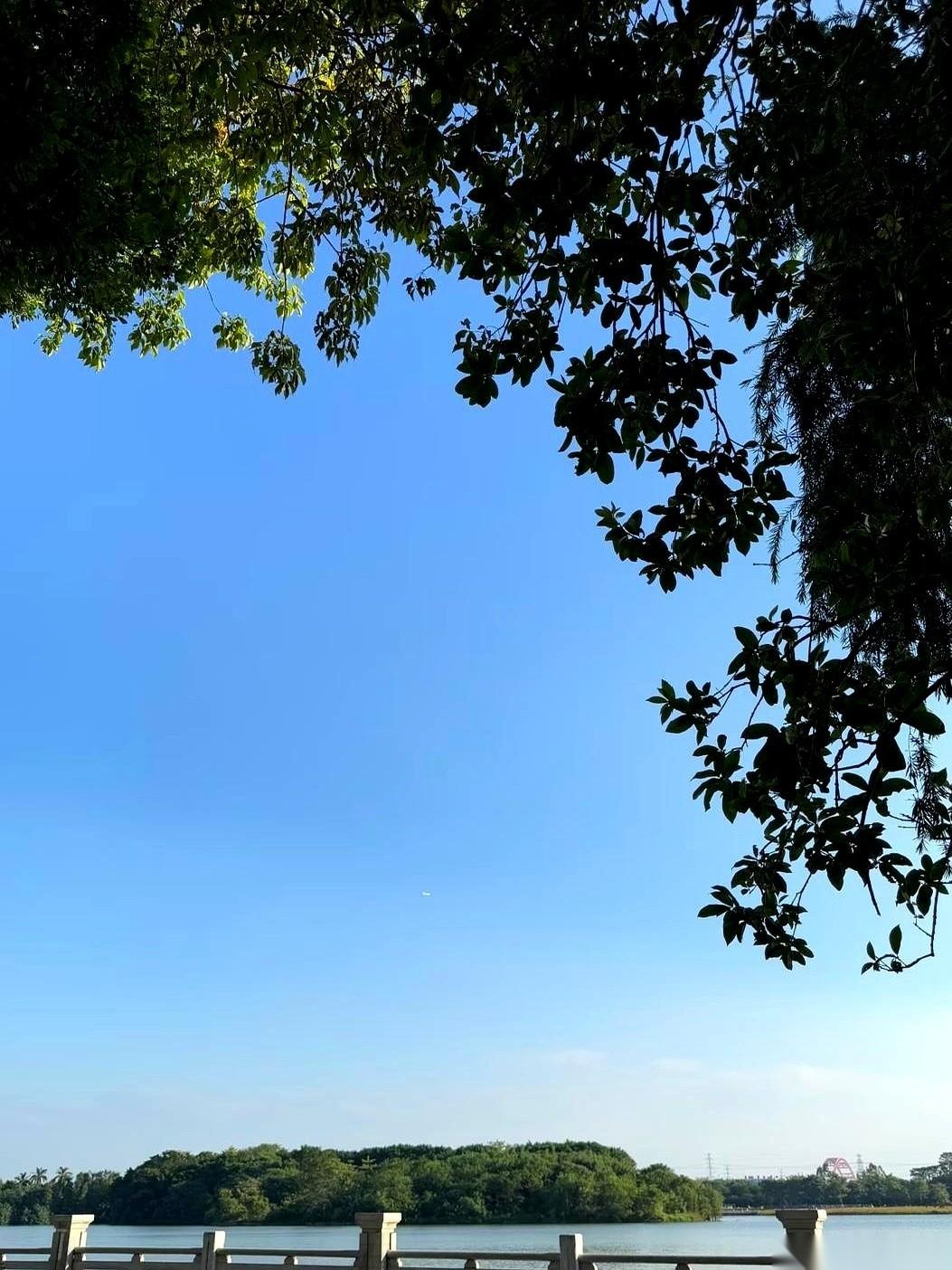 29岁，年入百万，胃癌晚期。就前两天，我儿子回家跟我说的，他那个高中同学，当年