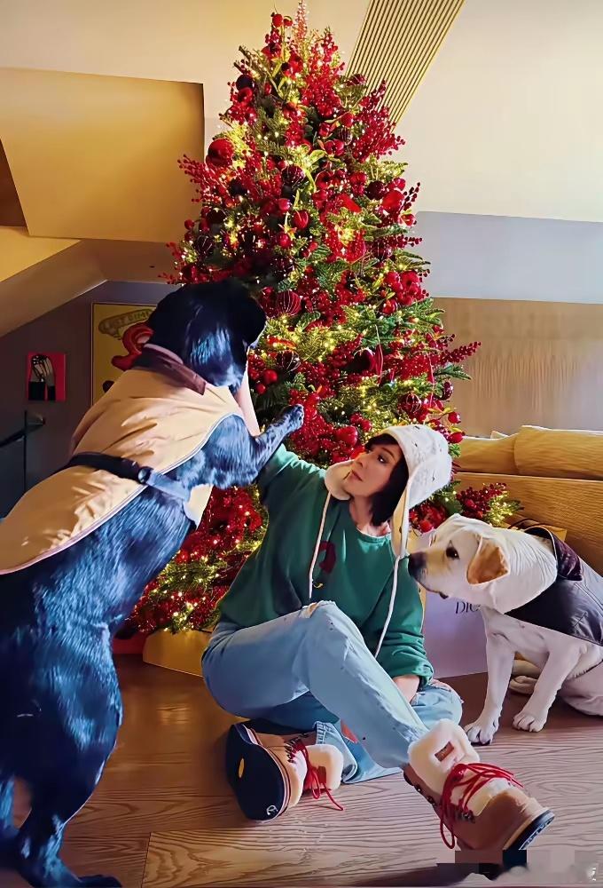 刘嘉玲在豪宅过圣诞，无儿无女只有两只狗陪着她……500平的豪宅富丽堂皇，装潢也是