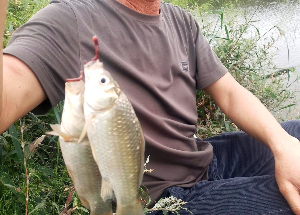 长竿甩得远，鱼才肯上钩。你蹲浅滩搓饵，人家在深水包酒米，鱼早跑了。高温天，浅