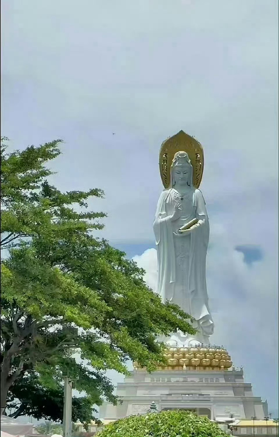 当你看见南海观音时，千万不要视而不见，这是对菩萨的不敬。你只要虔诚地留下四个字：