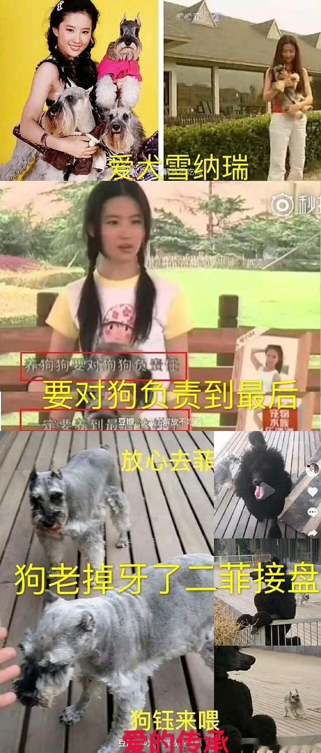 刘亦菲回北电和同学聚会谁还记得同班同学江一燕爆料她在学校没上过课的事情和同学见过