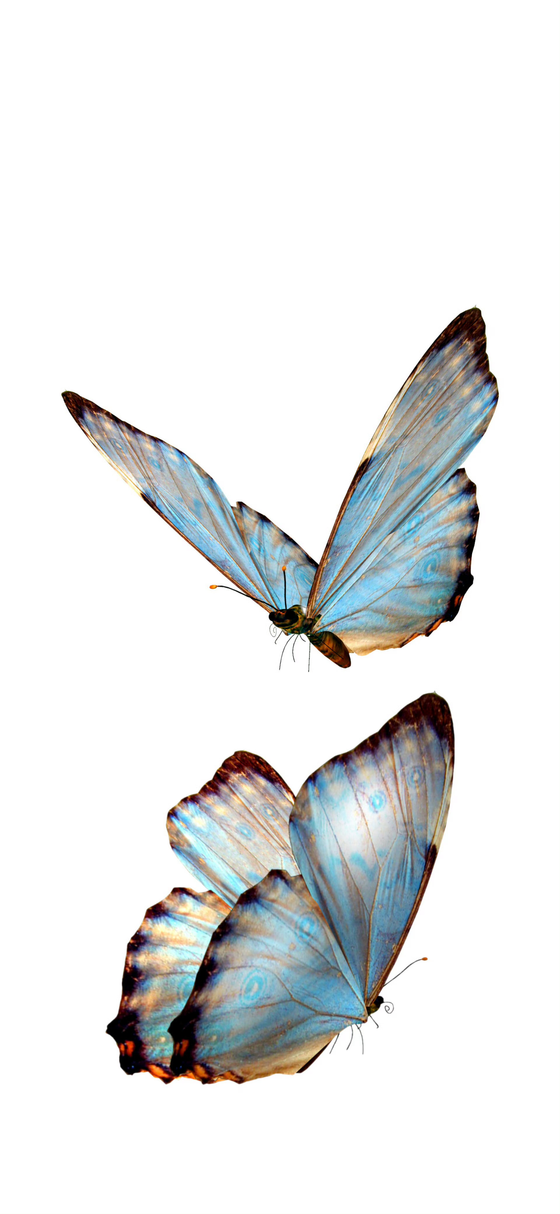 𝕎𝕒𝕝𝕝𝕡𝕒𝕡𝕖𝕣 锁屏壁纸​​​