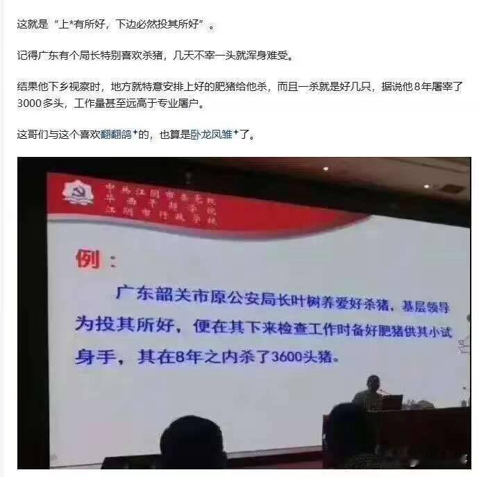 🐷：你这人是有什么毛病？？？